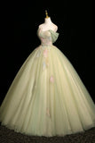 Mint Green Off-the-Shoulder Tulle Ball Gown with 3D Floral Appliques HZ0429