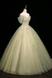 Mint Green Off-the-Shoulder Tulle Ball Gown with 3D Floral Appliques HZ0429