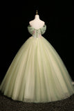 Mint Green Off-the-Shoulder Tulle Ball Gown with 3D Floral Appliques HZ0429