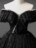 Black Tulle Long A-Line Prom Dress, Shiny Off Shoulder Evening Dress HZ0429