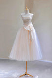 Champagne Strapless Tulle Short A-Line Party Party Dress HZ0429