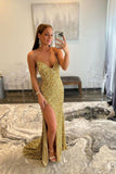 Mermaid Sequins Long Prom Dresses, V-Neck Evening Dresses HZ0429