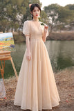 Cute Tulle Long A-Line Prom Dresses, Champagne Lace-Up Party Dresses HZ0429