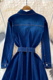 Blue A-line Long Sleeve Denim Dress HZ0429