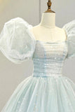 Lovely Puff Sleeve Tulle Formal Evening Gown, A-Line Long Prom Dress HZ0429