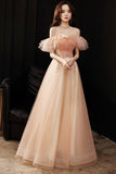 Pink Tulle Sequins Long Prom Dress, Off the Shoulder Evening Dress HZ0429