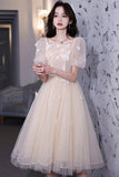 Champagne Lace Short Prom Dresses, A-Line Homecoming Dresses HZ0429