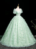 Green Tulle Long Prom Dress with Butterfly, Beautiful A-line Short Sleeve Evening Dress HZ0429