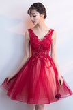 A-Line Tulle Short Prom Dress, V-Neck Lace Mini Party Dress HZ0429