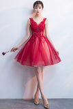 A-Line Tulle Short Prom Dress, V-Neck Lace Mini Party Dress HZ0429