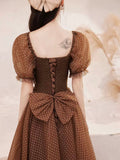 Charming Brown Tulle Floor Length Prom Dress, A-Line Short Sleeve Evening Party Dress HZ0429