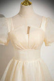 Lovely Tulle Long Prom Dress, A-Line Short Sleeve Evening Party Dress HZ0429