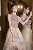 Champagne Tulle Beads Short Prom Dress, Lovely A-Line Hight Low Party Dress HZ0429